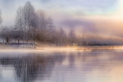 Early Morning Mist by Bob Mcneill
