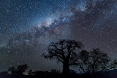 Night Sky At Vundu Camp by  Phil Strong